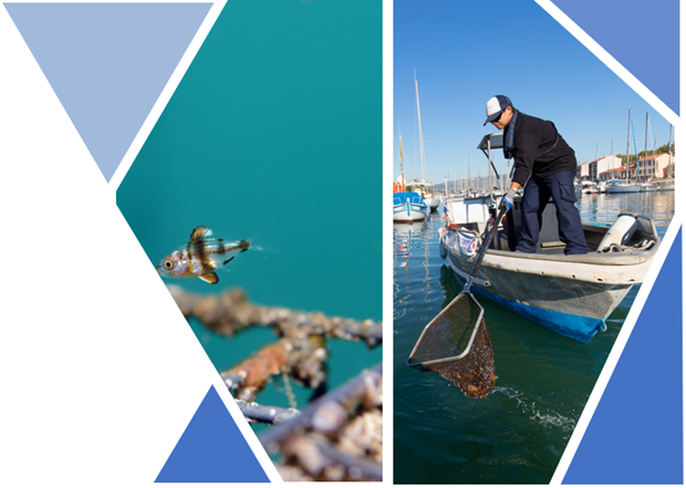 Environnement Ports Rade de Toulon SETIAS