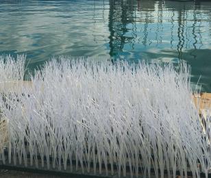 nurseries_a_poissons_0