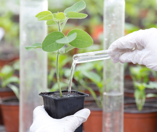 Transition écologique, des aides pour se faire accompagner