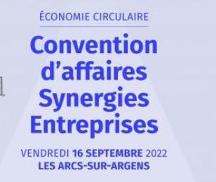 Convention d'affaires synergies culturelles