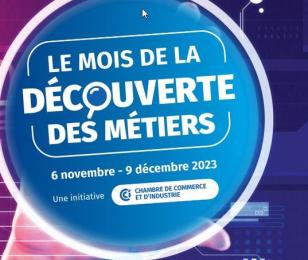 Visuel du mois de la découverte des métiers 