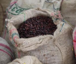 visuel d'un sac de cacao de Colombie