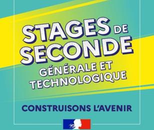 Visuel stages de seconde -537