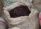 visuel d'un sac de cacao de Colombie