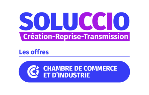  Soluccio-Création-Reprise-Transmission-CCIFRANCE-web