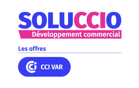  Soluccio-Développement-Commercial-CCIV-web